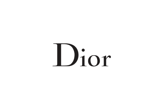 Organization logo 17